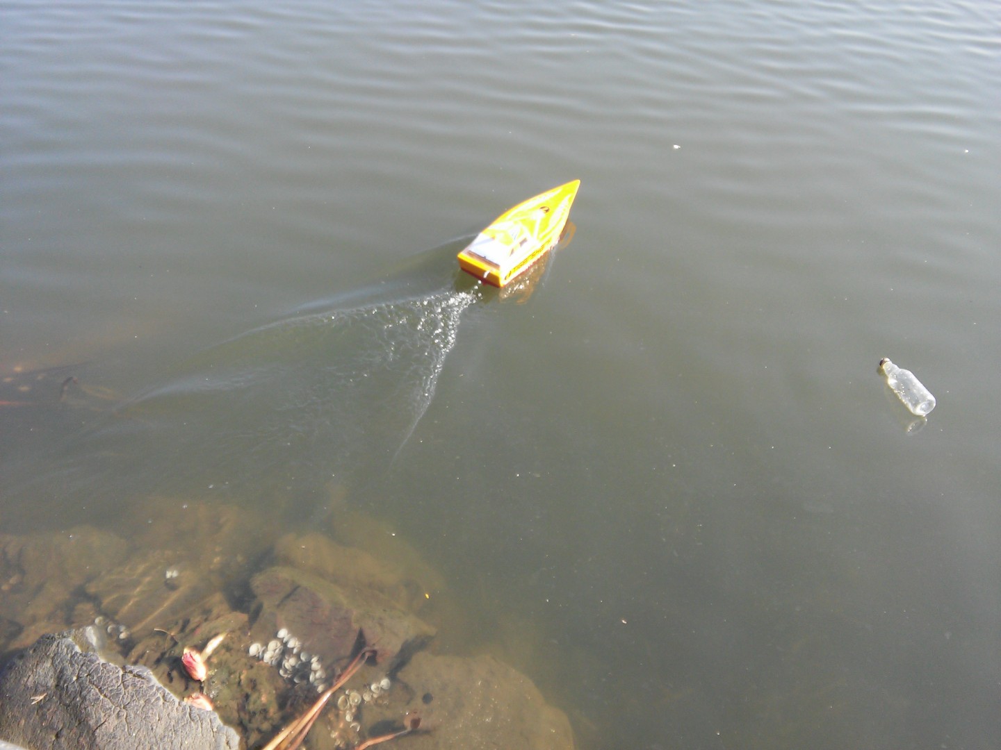 RC Boat Developed by School Student — FAERI Research and Development Photo