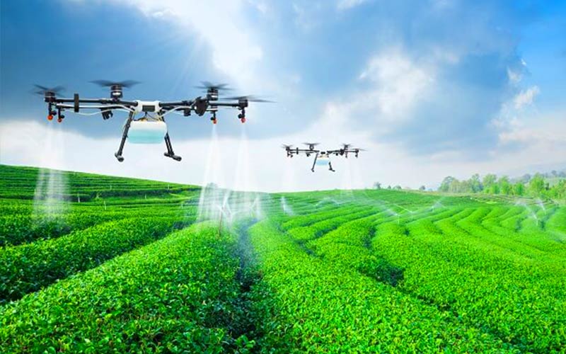 Agriculture drone spraying crops for precision farming
